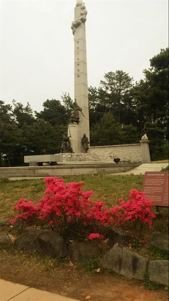 IE001957040_STD.jpg?type=w2