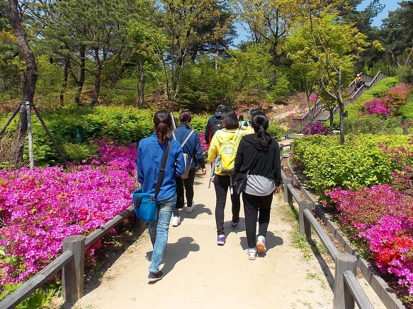 26306E50570A59AC237F3D