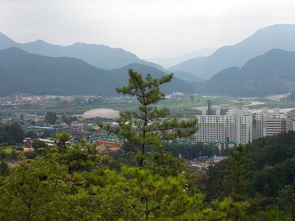 265ED44B573331132C4243