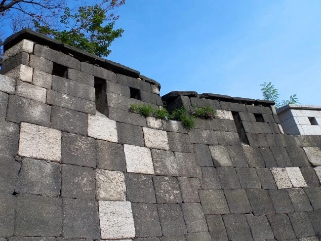 cattle_body_10.JPG?type=w2