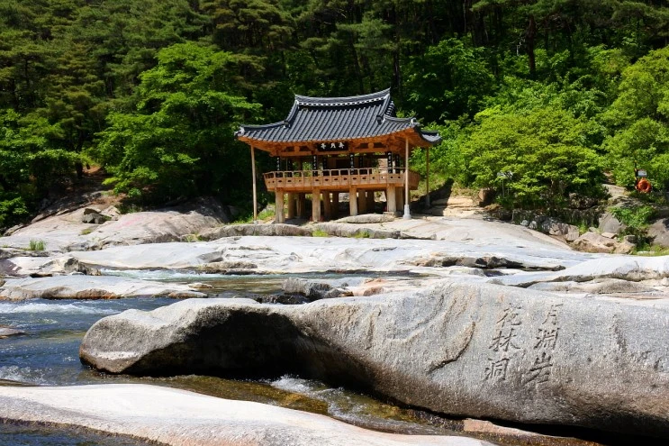 moon_joy_2.JPG?type=w2