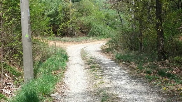 233E4B395720CDAE113D60