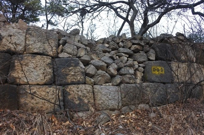 cattle_body_7.JPG?type=w2