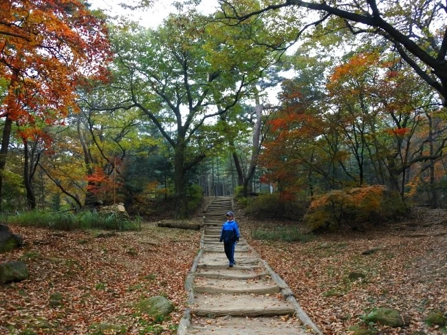 bukak_han_3.JPG?type=w2