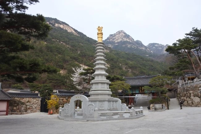 DSC_9379.JPG?type=w2