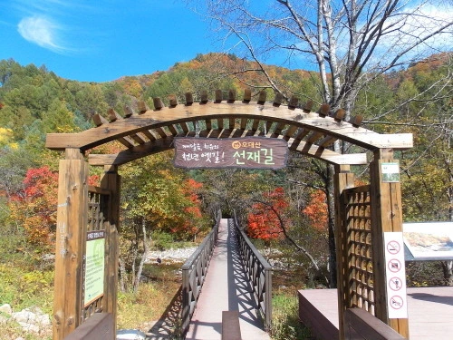 260C763C5448BBBD2A4714