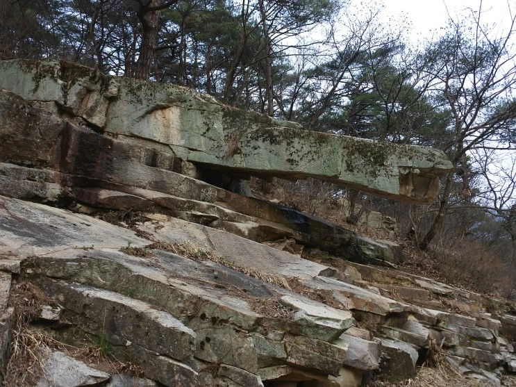 15_daumfunding_2.JPG?type=w2