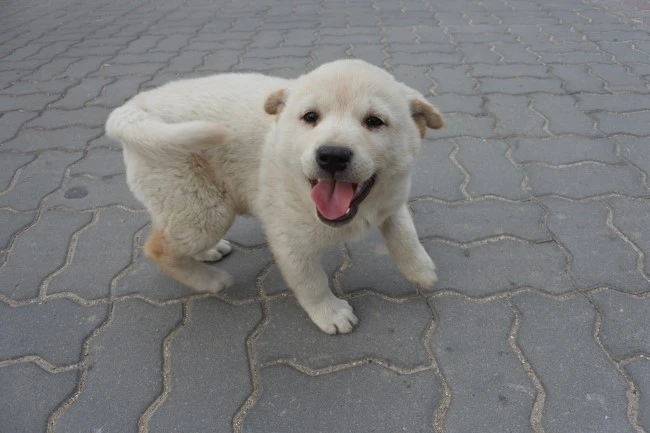 DSC_9346.JPG?type=w2