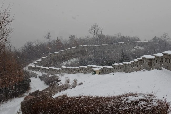 snow_cattle_4.JPG?type=w2