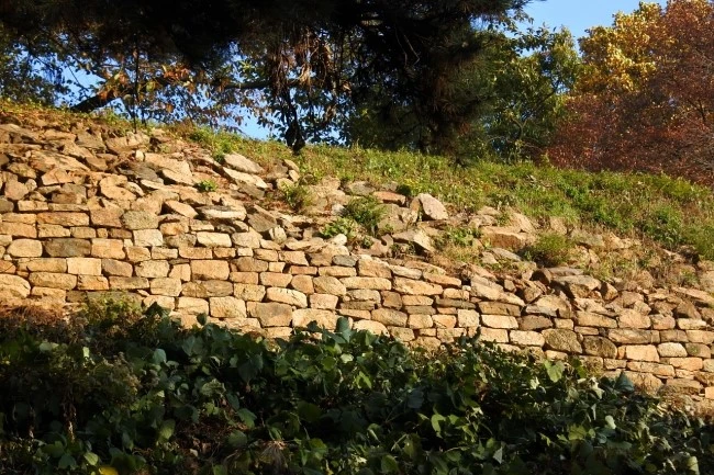 acha_t_4.JPG?type=w2