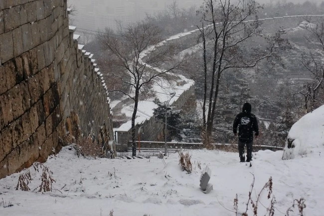 snow_cattle_1.JPG?type=w2