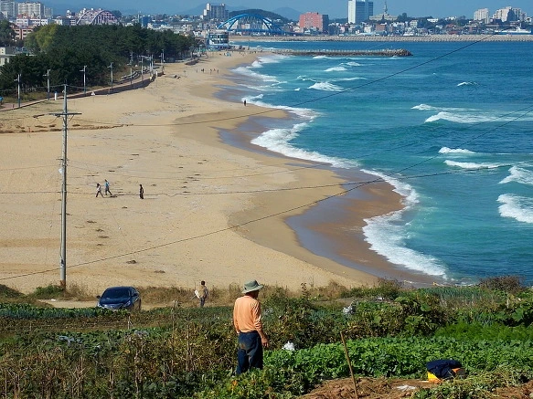 27332F35572B34F610DD3F