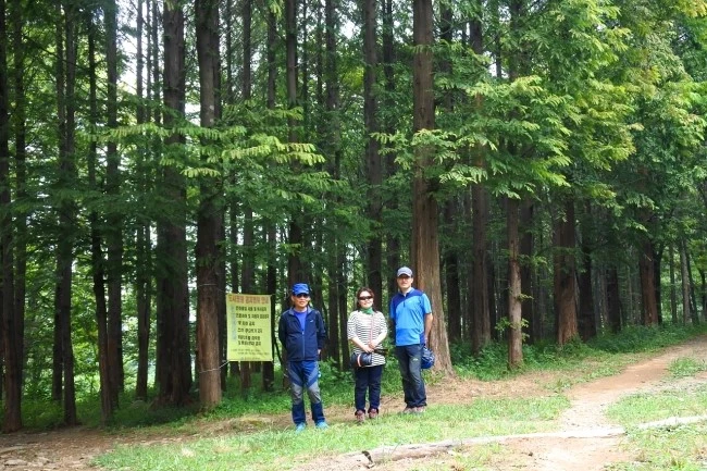 kwanak_trekking_113.JPG?type=w2