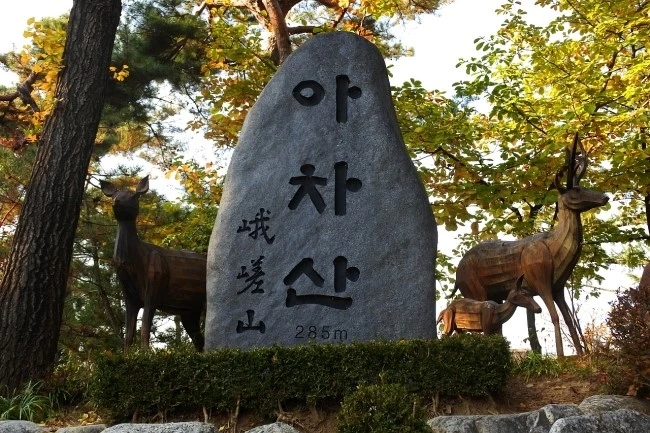 acha_t_3.JPG?type=w2