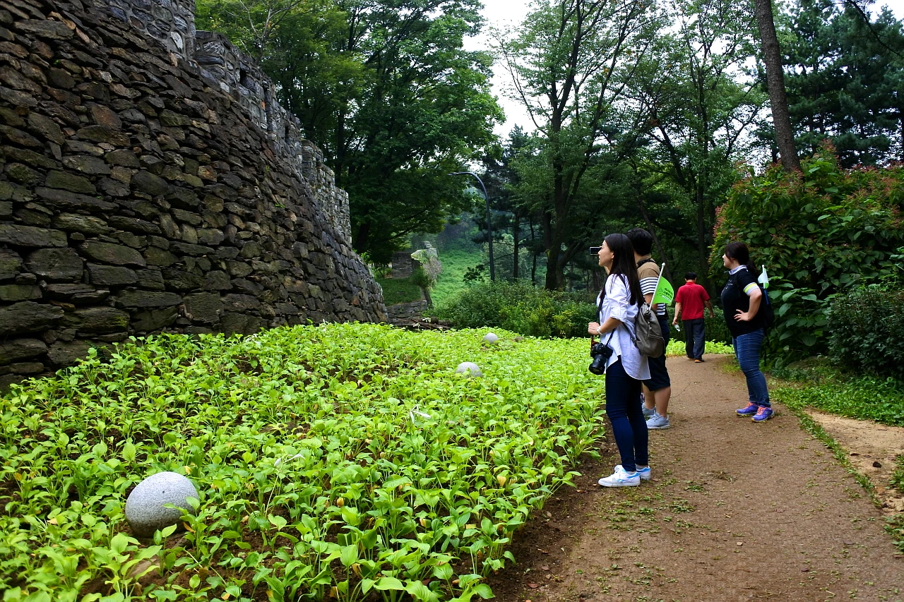 namsan_trekking_13.JPG