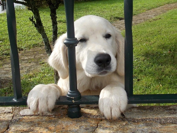 2710F13B5716396111824E