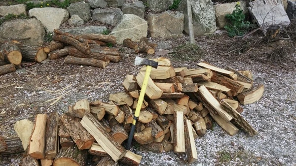 IE001950833_STD.jpg?type=w2