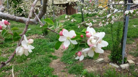 255436385718B8F81BF2EA