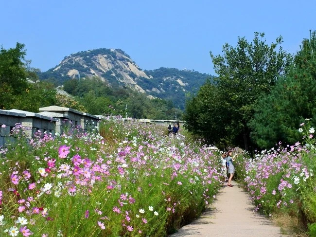 hanter_inwang_trekking_1.JPG?type=w2