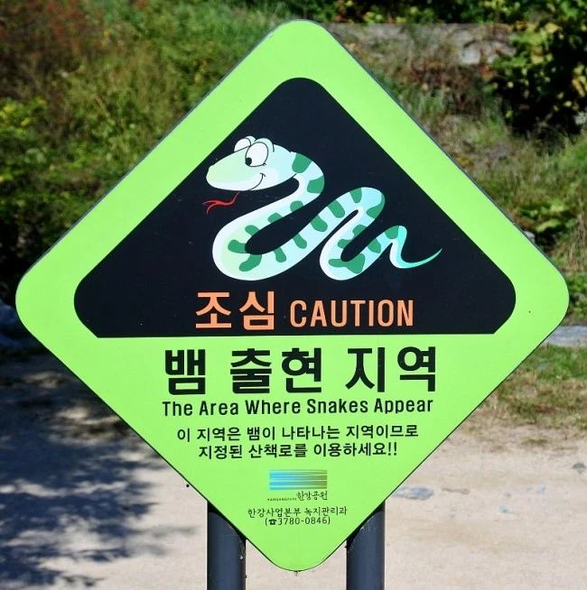 let_han_trekking_4.JPG?type=w2