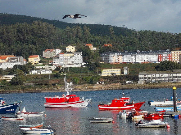 2529D3395720D3D00F6048