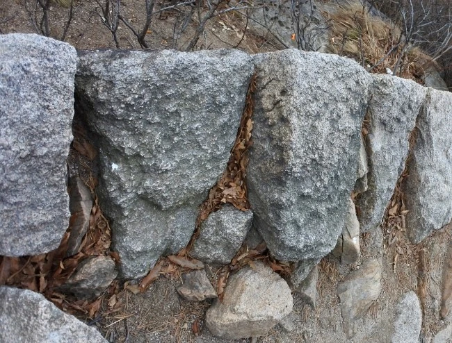 cattle_body_8.JPG?type=w2