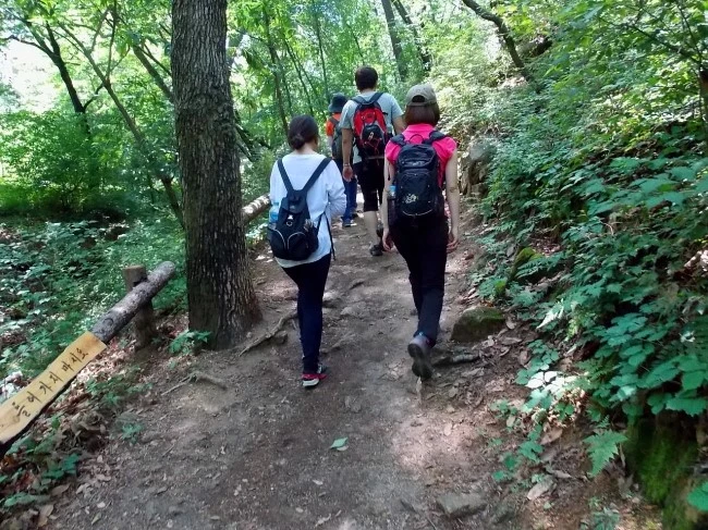 1_funding2_3.JPG?type=w2