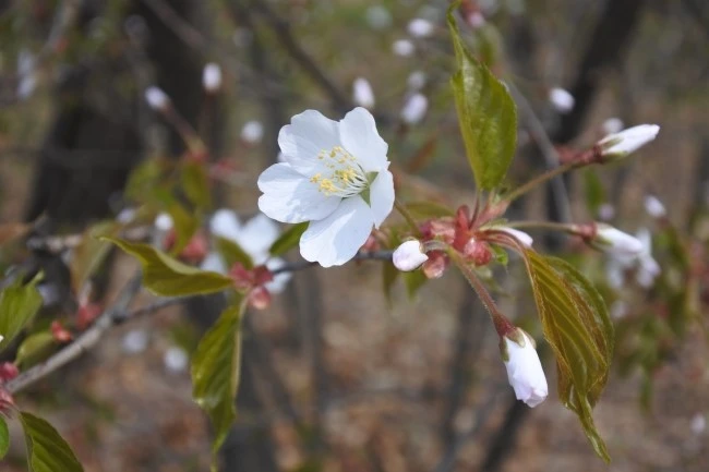 DSC_9175.JPG?type=w2