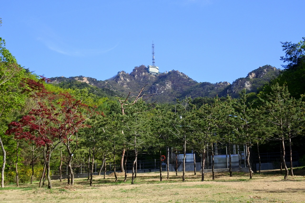 관악산_서울대에서 바라본 정상부.JPG