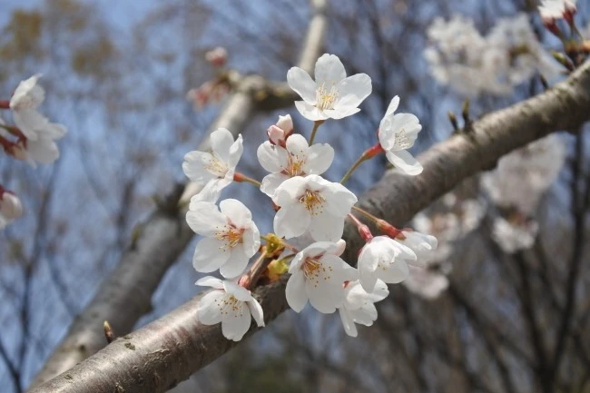 DSC_9172.JPG?type=w2