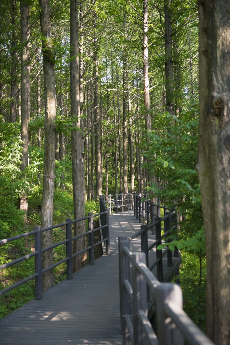 _DSC6115.jpg?type=w773