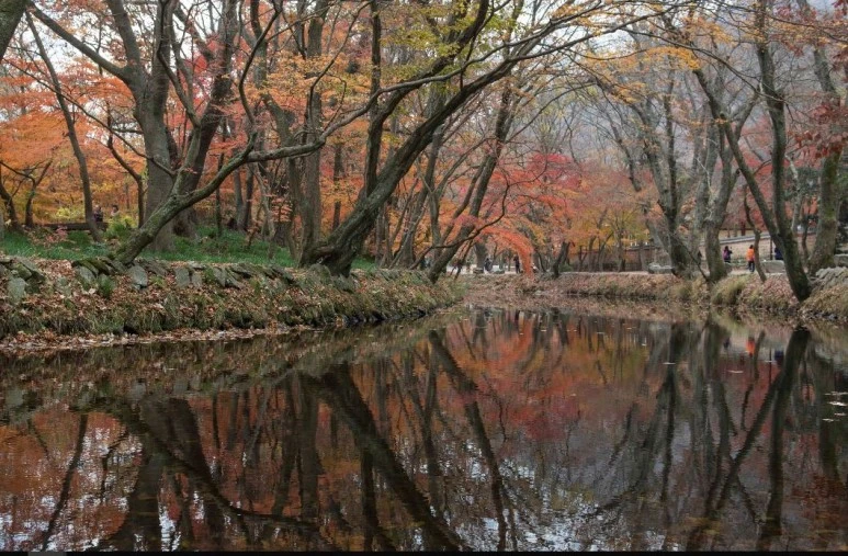 %EC%BA%A1%EC%B2%9832.JPG?type=w773