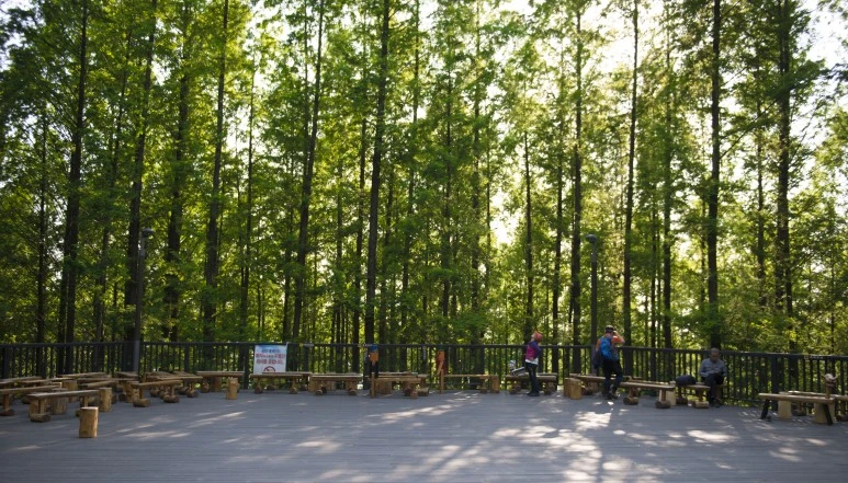 _DSC6119.jpg?type=w773