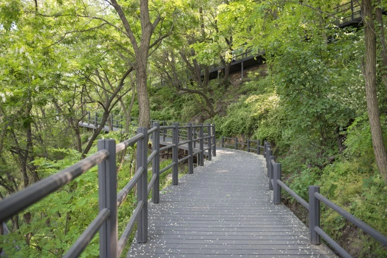 _DSC6074.jpg?type=w773