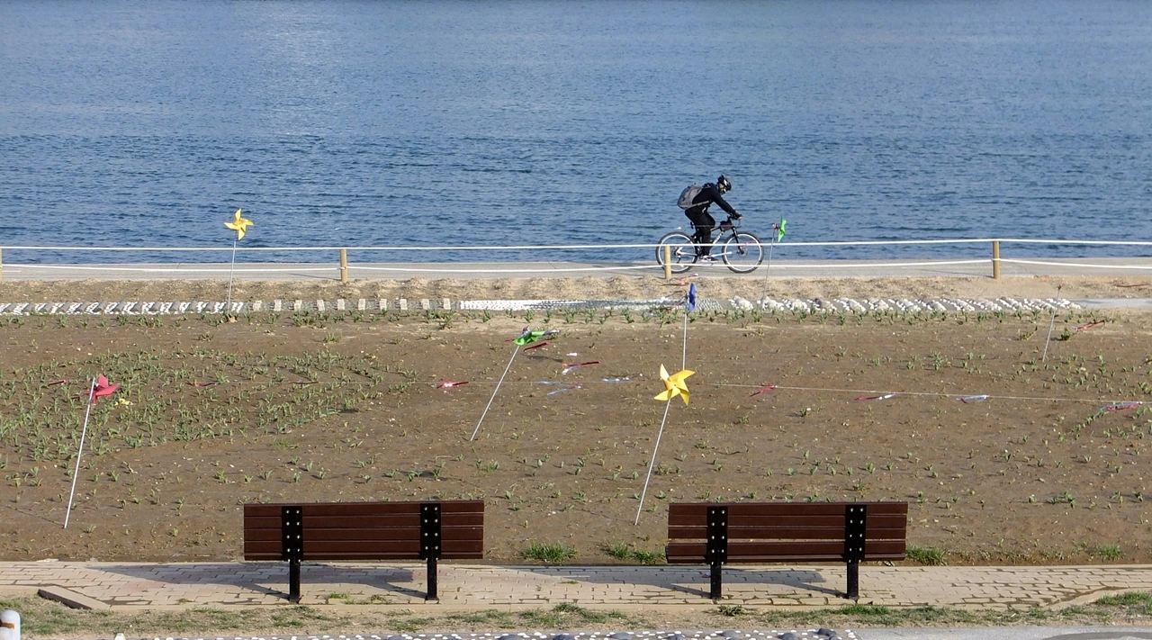 형산강-봄이 찾아온 형산강.JPG