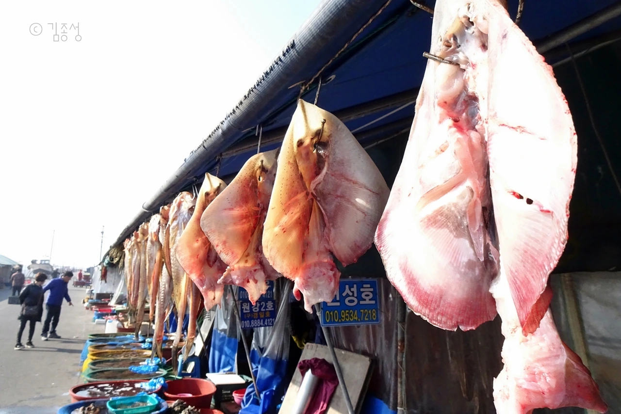 사진9.JPG