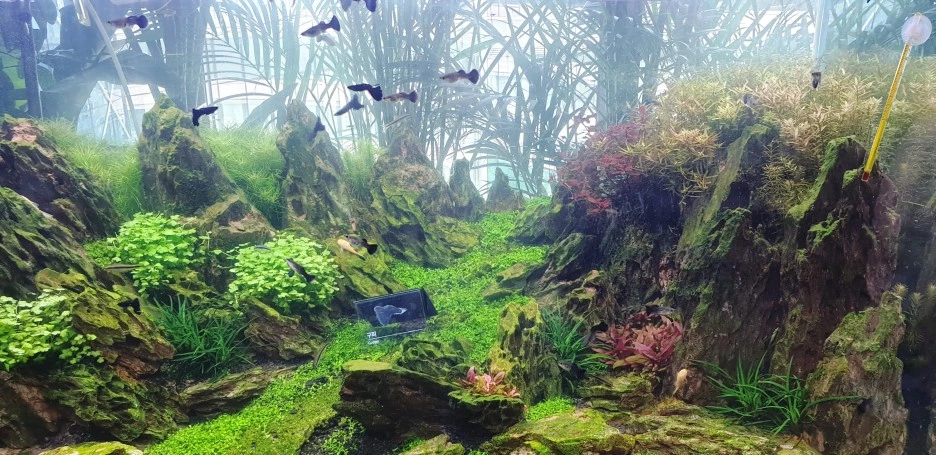 SE-7cdfe431-f554-460b-89ca-1c5d3b520dfc.jpg?type=w1