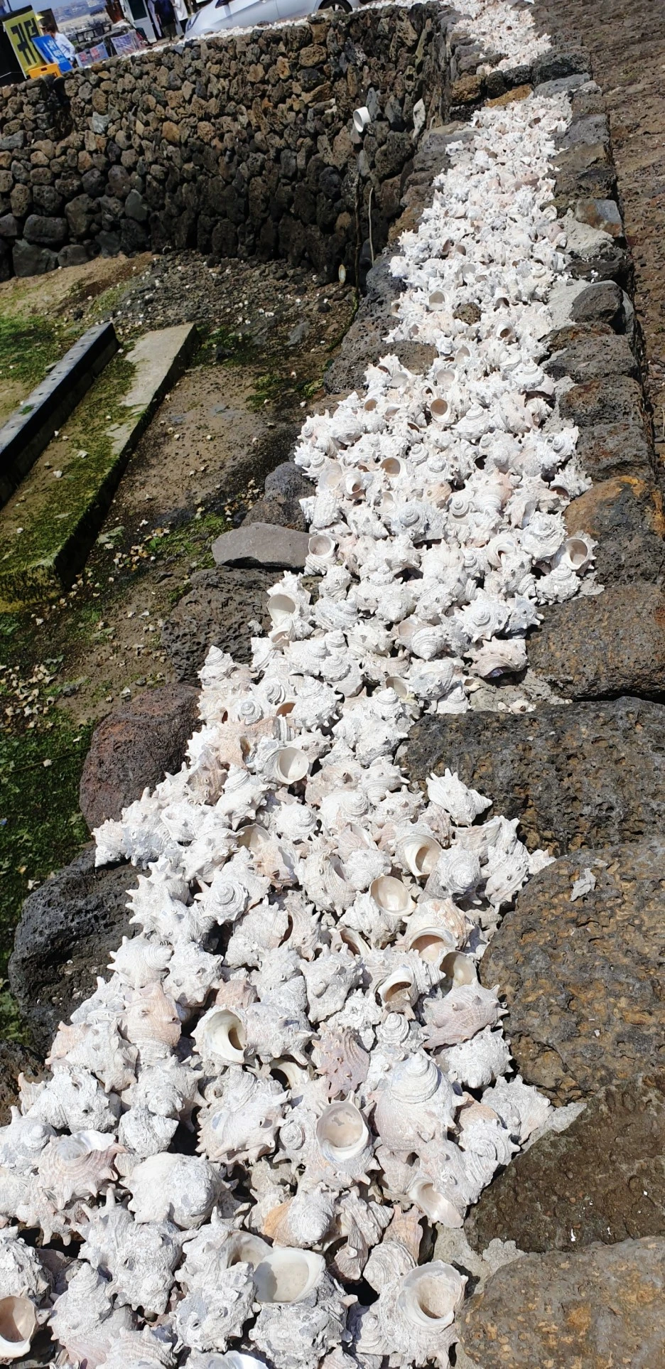 SE-30c642e8-c0a8-4898-8e2c-07acb955cac0.jpg?type=w1