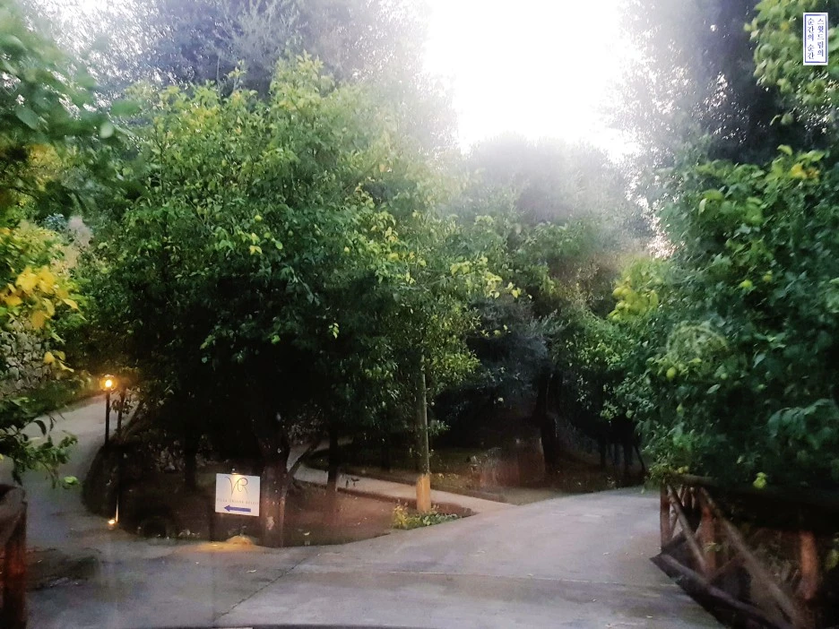 image_1141740181541981886965.jpg?type=w1