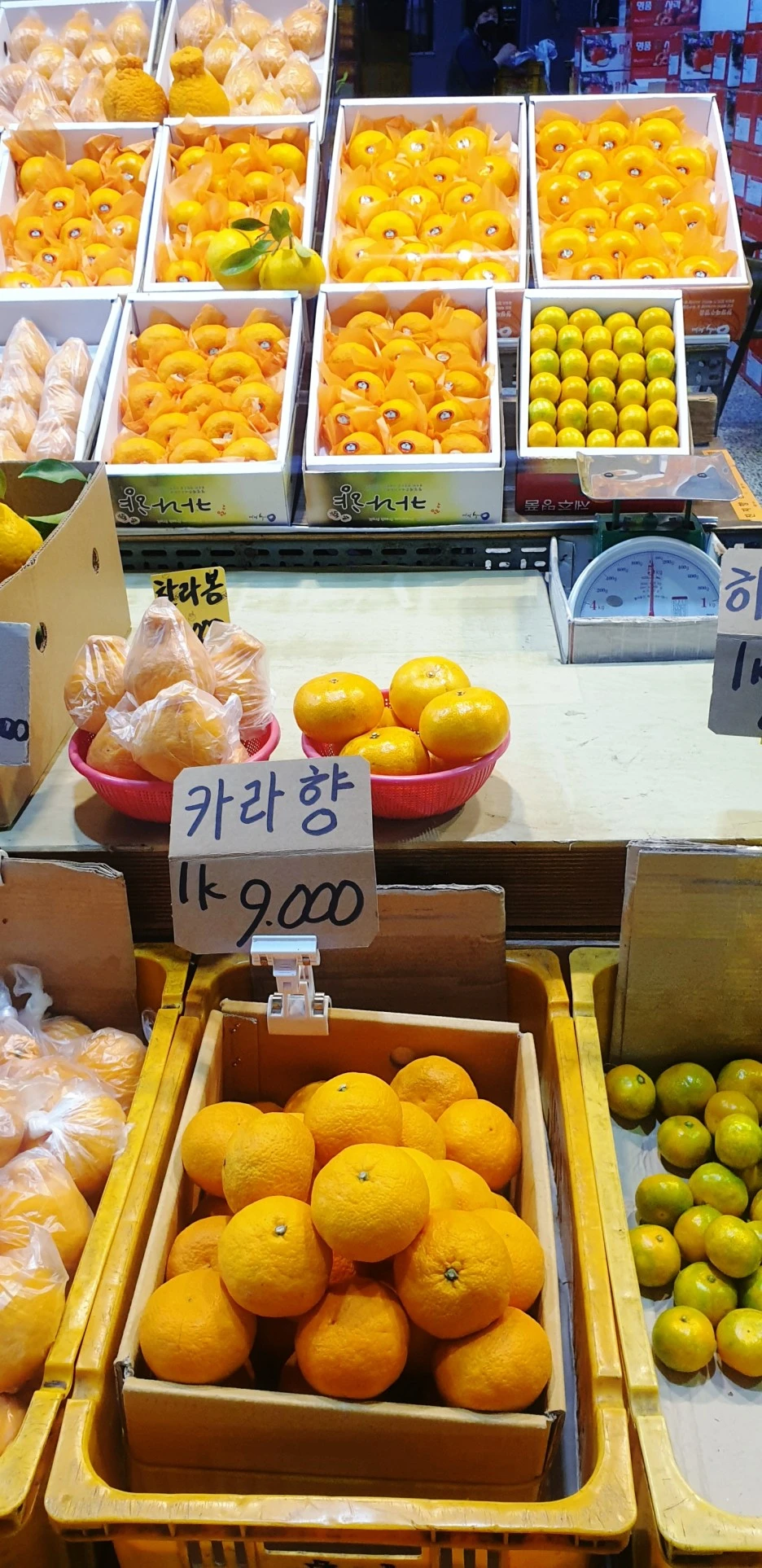 SE-d563b8cc-1e61-42d0-b45b-10865157001c.jpg?type=w1