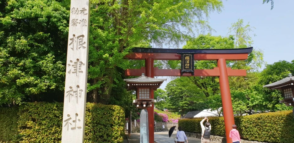 SE-54cd0244-679c-41fd-ba42-2091599f145d.jpg?type=w1