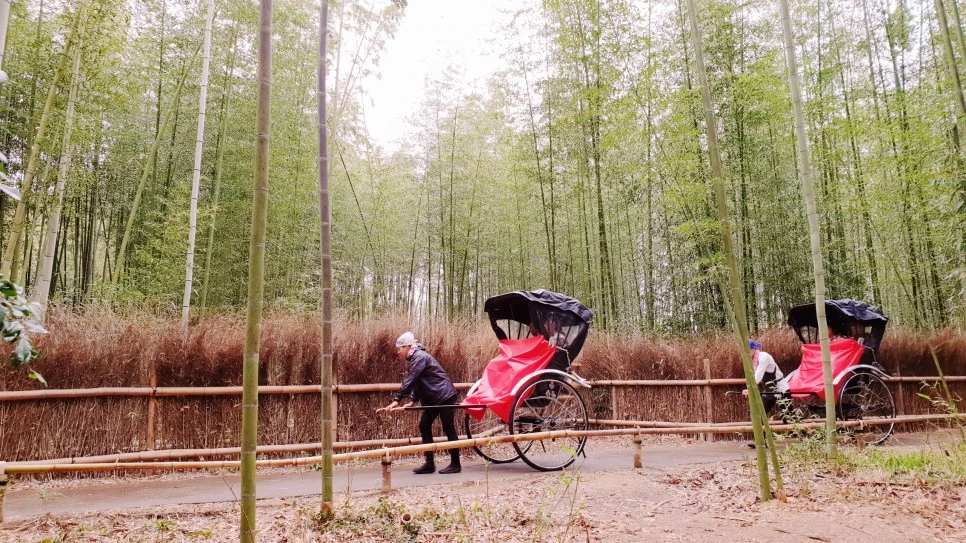 SE-bd3dca08-e7c9-46bb-814b-53c0215c466c.jpg?type=w966