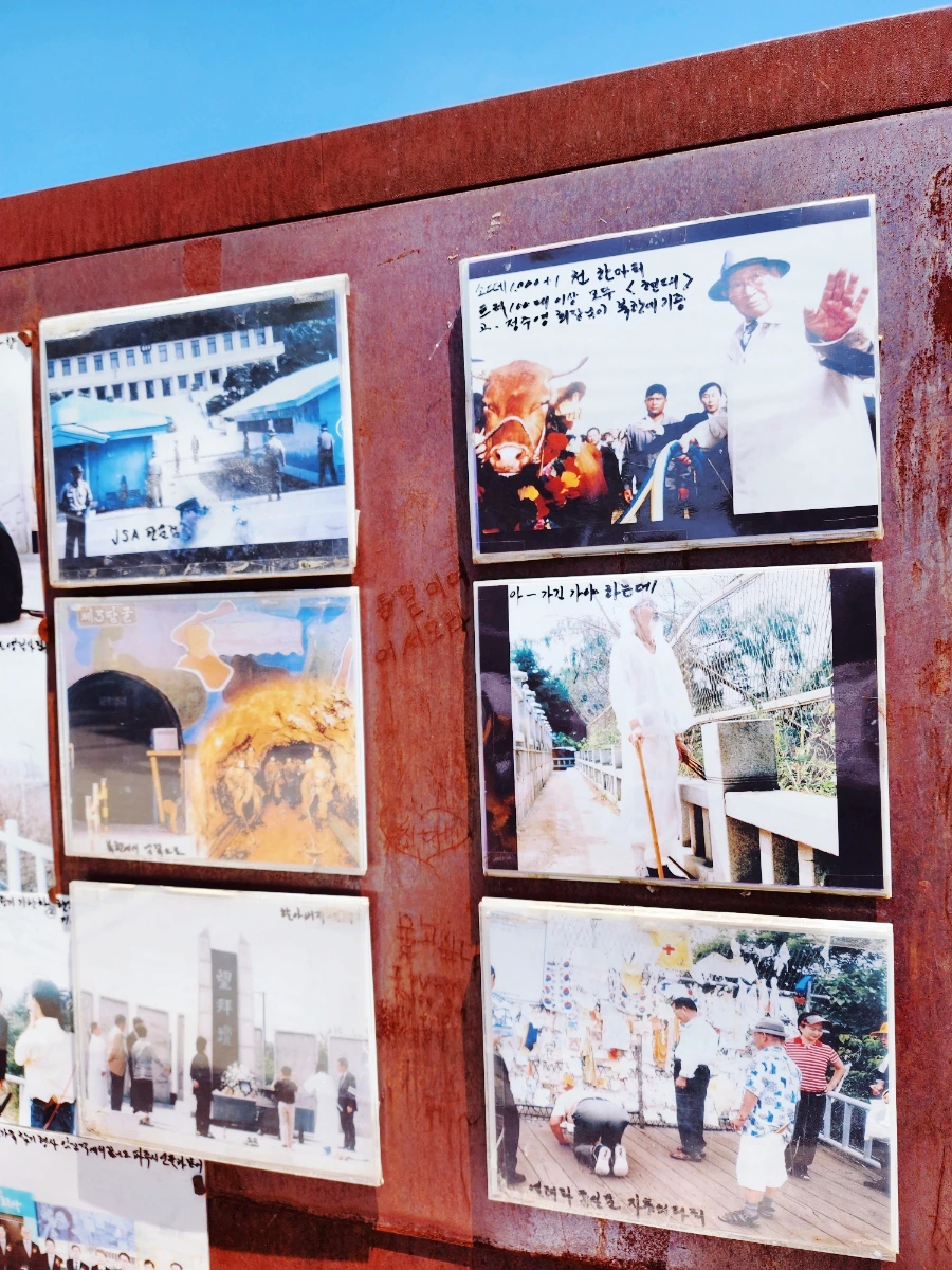 SE-41dc4817-0744-11ee-a1f8-f79b13e08173.jpg?type=w1