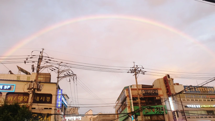 SE-ade0e1cd-1069-11ed-8d09-256d1b65c717.jpg?type=w1