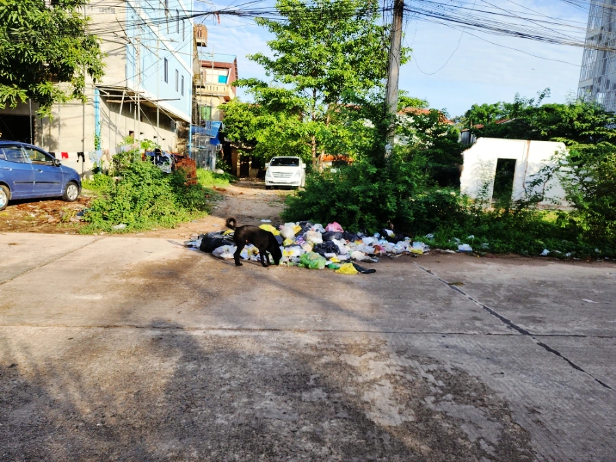 SE-594aa600-3a7a-11ef-8dbb-436e84c7e030.jpg?type=w1