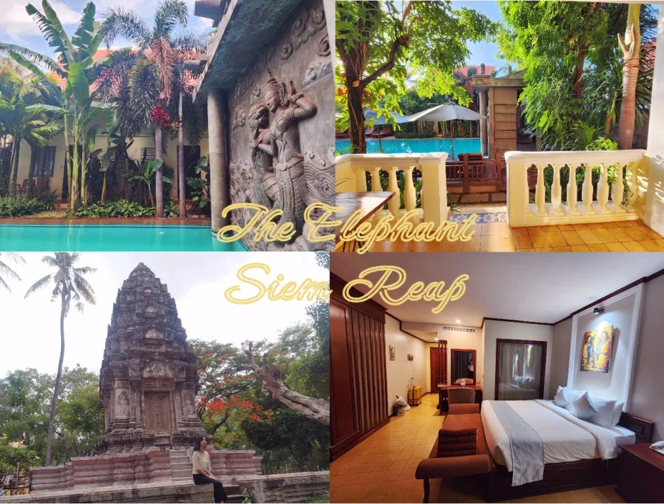 SE-88bcfc49-5402-4b71-b2f3-9ba436b4500b.jpg?type=w1