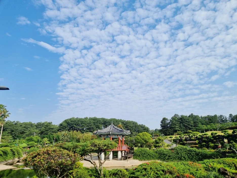 SE-817d5d82-69f2-4f6c-a62a-1e4f06d3bc6c.jpg?type=w1