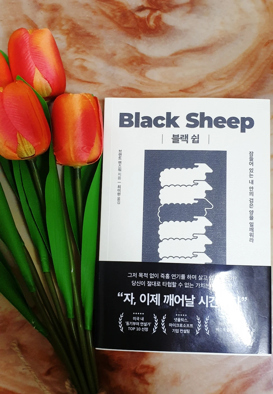 SE-277c9f65-b4e2-11ec-8023-91c5565c629e.jpg?type=w1