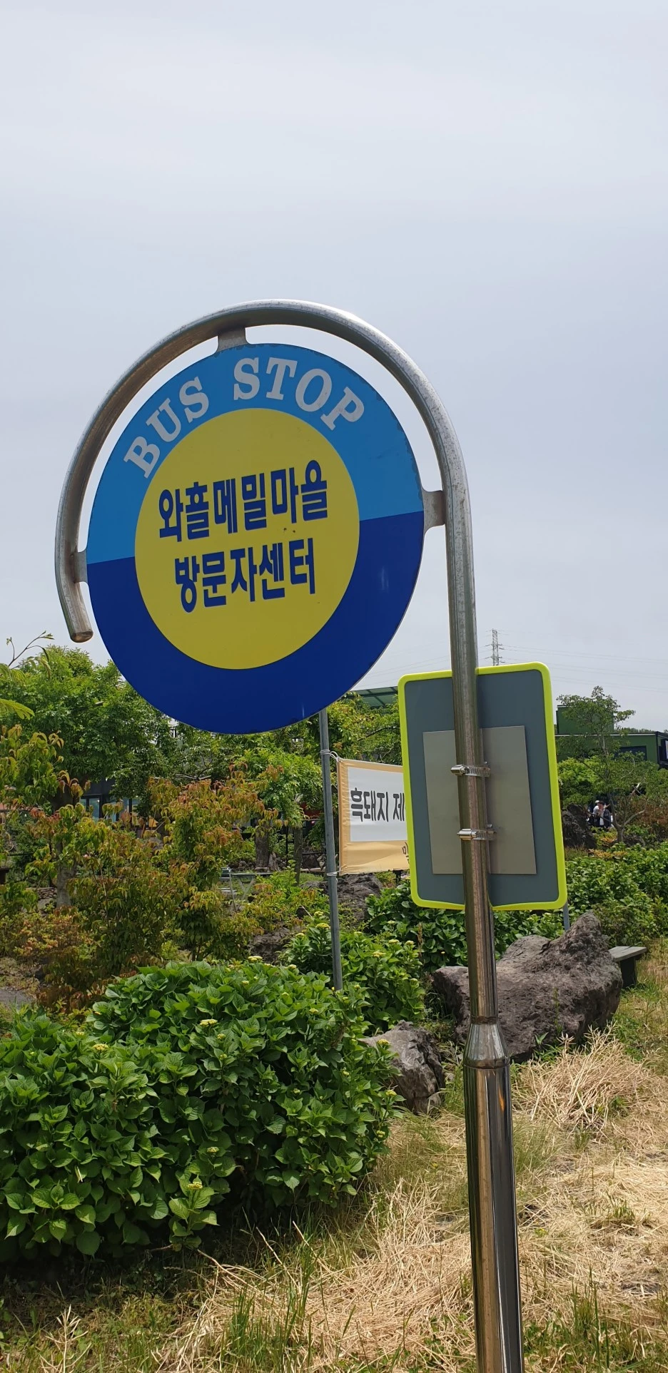 20220526_122210.jpg?type=w1