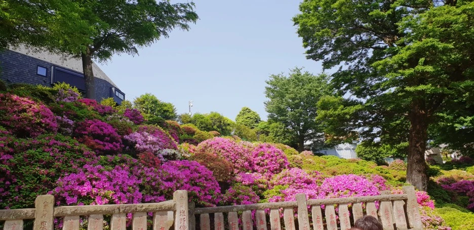 SE-339a9df6-5fca-4a1b-a4a1-b93a47301a0c.jpg?type=w1